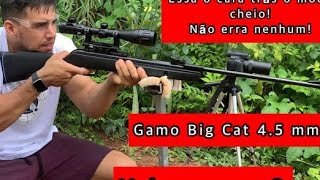 Gamo Big Cat  Vale a pena [upl. by Oicafinob]