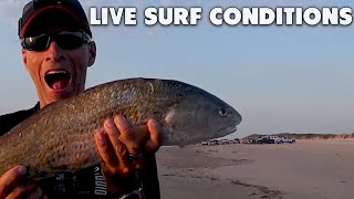 Port Aransas beach conditions live [upl. by Essex937]