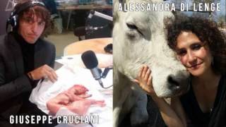 Cruciani VS Alessandra Di Lenge La LORO Voce  Iene Vegane [upl. by Aniale]