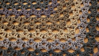 The Peephole Stitch Shawl  Crochet Tutorial [upl. by Solracesoj]