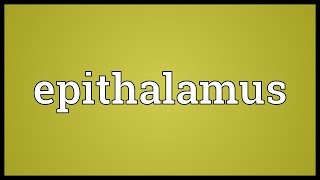 Epithalamus Meaning [upl. by Shepard254]