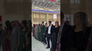 Kurdısh Wedding [upl. by Nirehtac171]