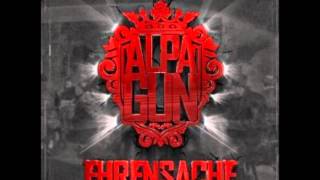 Alpa Gun  Hauptsache dir gehts gut LYRICS [upl. by Naret]