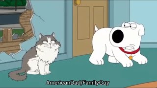 Family Guy  Brian Behaving Like a Dog [upl. by Ellswerth796]