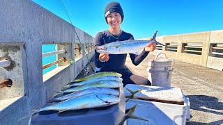 Yellowjack MAYHEM Florida Keys Bridge Fishing [upl. by Gusta]