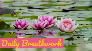 Breathwork 13 Practice Moving Energy In Your Body [upl. by Xella90]