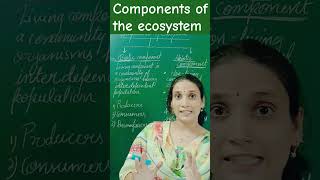 componentsofecosystem ecosystem componentsfactorseffectingbioticabioticscienceclass10th bio [upl. by Dinah]