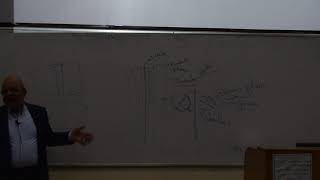 Embryology  Development of vertebral column  DrGamal [upl. by Halet176]