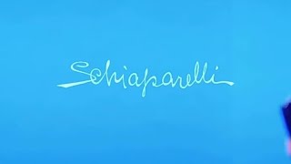 💙🤍 SCHIAPARELLI SS 2025 —— FUTURE VINTAGE [upl. by Eiramyma]