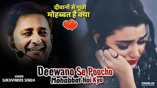 Deewanon Se Poochho Mohabbat Hai Kya ❤️Sukhwinder Singh Kurbaan Love hindi song dard video [upl. by Romonda]