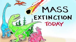 Mass Extinction Crisis TODAY [upl. by Biancha]