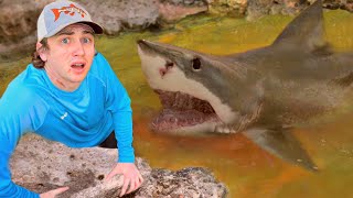 I Found a Pond Infested with Sharks [upl. by Anilocin797]