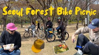 Seoul Forest bicycle picnic [upl. by Hollington]