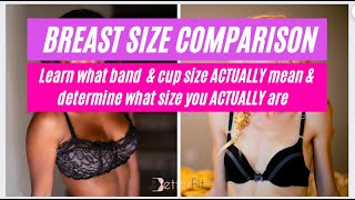 Bra Size Measurement amp Cup Size  A B C D DD Bra Sizes AND Extra Large Breasts [upl. by Essenaj]