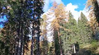 Road to Malga Ra Stua IV Ampezzo Dolomites VIII Veneto Italy 221024 sunny foliage dolomites [upl. by Enowtna]