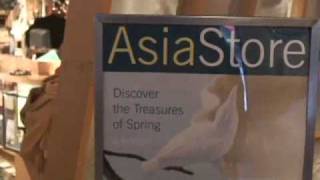 Experience AsiaStore [upl. by Neeham74]