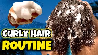 Everything Shower Haircare Routine  How to Properly Take Care of CURLY HAIR  Hair Tutorial [upl. by Eimaj]