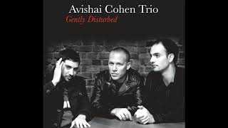 Avishai Cohen  Variations In G Minor [upl. by Thorstein]