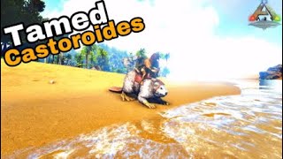 How to tame a Castoroides in Ark Survival Evolved [upl. by Tomkins]