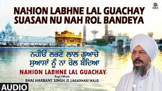 Nahion Labhne Lal Guachay  Bhai Harbans Singh ji  shabadkirtan gurbanishabad gurbani sikhism [upl. by Eteragram]