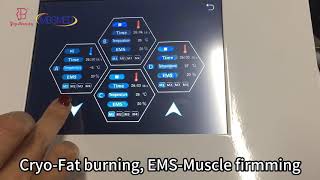 EMS Cryo Plate Slimming Machinetreatment [upl. by Edlun150]