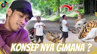 SIAPA SANGKA ‼️INTINYA JANGAN PANIK… [upl. by Domela]