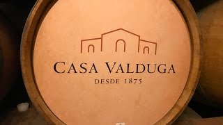 VISITA A CASA VALDUGA [upl. by Bigner]