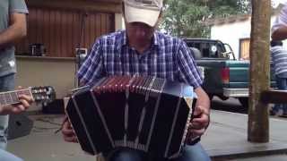 Chamamé  Bandoneon  Thalysson Nogueira [upl. by Yeung781]