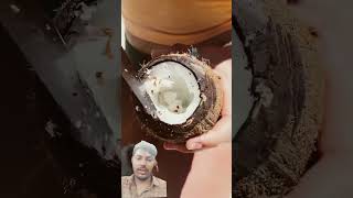 Cocene coconut bushcraft satisfying bushwoman beach bushcamp sand hindi  tamil [upl. by Lletnom545]