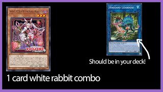 Why you should play Haggard Lizardose in malice 1 card white rabbit combo yugioh [upl. by Jesh579]