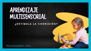 👁️‍🗨️​🧏🏻​👋​ Aprendizaje MULTISENSORIAL enfoque OrtonGillingham o modelo VAK en 2024 [upl. by Araet]