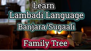 Learn Lambadi  Sugaali  Banjara Language  Family amp Relations [upl. by Macknair]