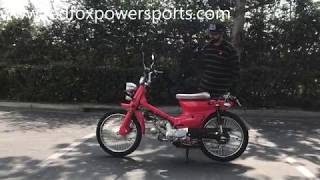 Redfoxpowersports review 50cc RTX Scooter Moped [upl. by Inram350]