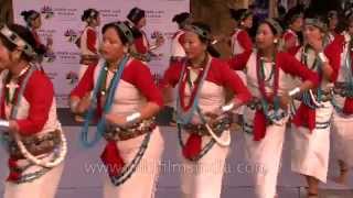 Nyishi women dancers from Arunachal Pradesh perform Rikham Pada dance [upl. by Eladnor]