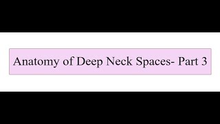 Anatomy of Deep Neck Spaces  Part 3 [upl. by Sherr]