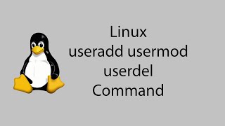 Learn Linux 13  useradd usermod userdel Command [upl. by Ranchod969]