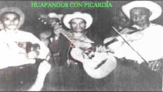 Conjunto Jarocho Villa del Mar de Angel Valencia  Huapangos con picardía El colas [upl. by Werby72]