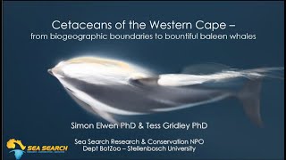 Cetaceans of the Western Cape SANParks talk [upl. by Ayom]