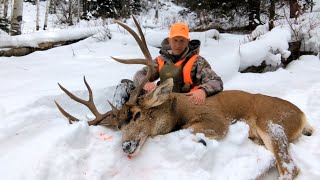 MAJESTIC  Late Season Mule Deer Hunt [upl. by Salter]