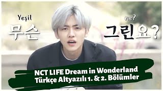 NCT LIFE  Dream in Wonderland 1 amp 2 Bölümler  Türkçe Altyazılı [upl. by Adnohsar]