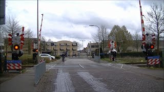 Spoorwegovergang Reuver  Dutch railroad crossing [upl. by Euqinwahs]