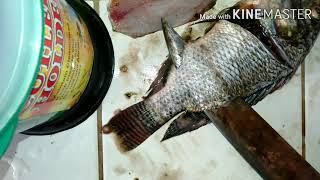 Filleting and Skinning Fish Oreochromis niloticus [upl. by Anialad]