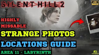 All Strange Photos in Area 11 Labyrinth  Key item for Pieces Unarranged Trophy Guide [upl. by Saeger]