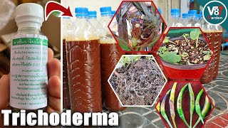 How to Use Trichoderma That You Never Know [upl. by Yentruoc]