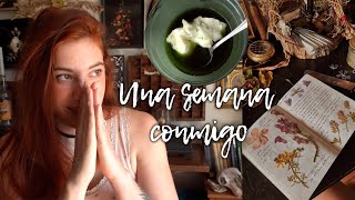 UNA SEMANA CONMIGO limpieza de altar🕯️ magia herbal🌿 y rutina📖 [upl. by Debbi]