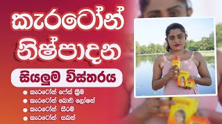 Carotone Cream Pack Full Review Sinhala  Cream Body Loation Soap Serum Brigtning Oil  කැරටෝන් [upl. by Editha]