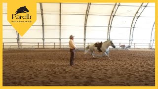 Train Your Horse to Circle with Pat Parelli [upl. by Romaine]