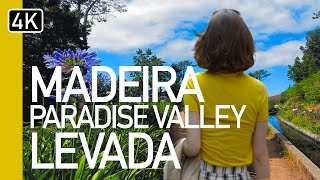 The Best Levadas in Madeira  Paradise Valley Levada  A guided tour in 4K [upl. by Noevart941]