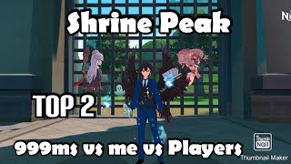 Shrine Peak PvP Securing Top 2 with lag  The Legends of Neverland [upl. by Eanram]