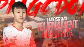 PMGC SCRIM  TOURNAMENT HIGHLIGHT🔥 [upl. by Riem887]